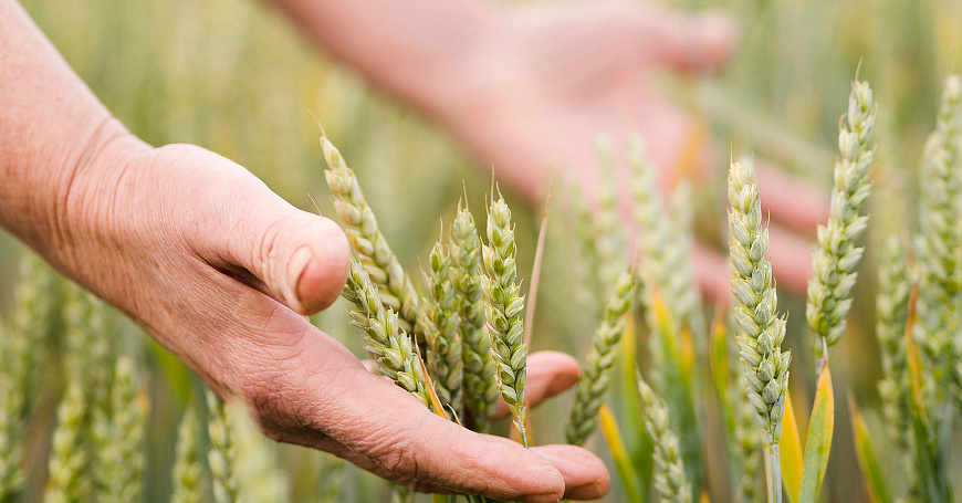 Проект Александры Саксон отмечен на федерально этапе  - портал Мой Бизнес Краснодар