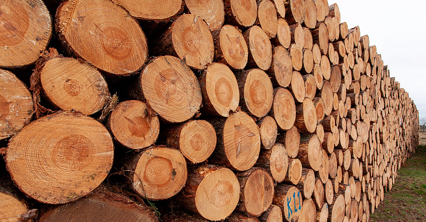 Торговый дом «Юглес»: «Выжили в пандемию и планируем открытие новых подразделений»  - портал Мой Бизнес Краснодар