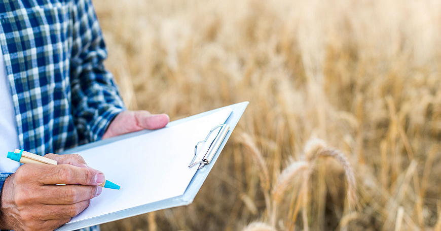 Правительство снизило ставку по льготным кредитам для сельхозпроизводителей и расширило параметры этой программы  - портал Мой Бизнес Краснодар